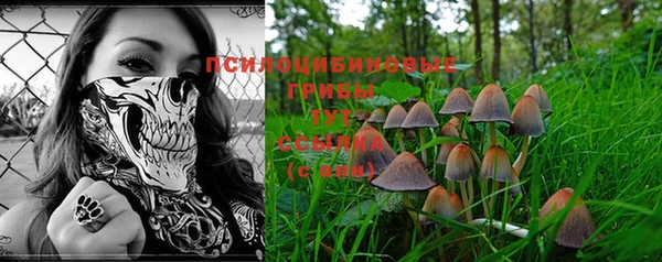 марки nbome Пересвет