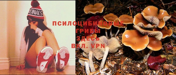ешки Пестово
