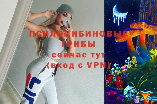 ешки Пестово