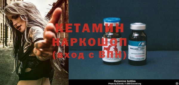 ГАЛЛЮЦИНОГЕННЫЕ ГРИБЫ Осинники