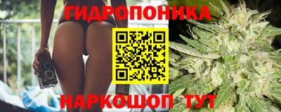 гашик Волжский