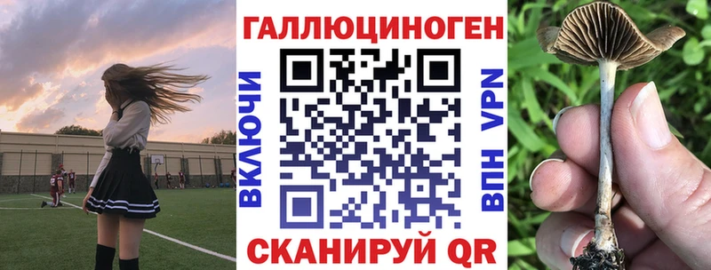 Галлюциногенные грибы Cubensis блэк спрут зеркало Златоуст